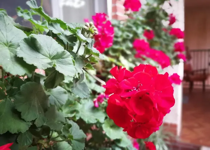 Leggieri Siria Bed and Breakfast