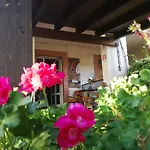 Leggieri Siria 3*